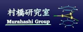 村橋研究室 Murahashi Group